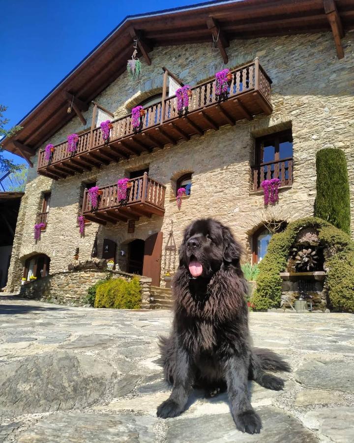 Отель Mas D'En Roqueta Aravell Экстерьер фото